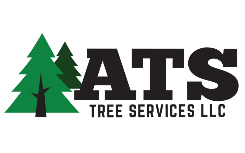 Expert Tree Removal Services in Perkasie | ATS Tree Services